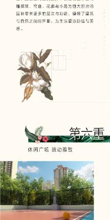 深中华A9涨停